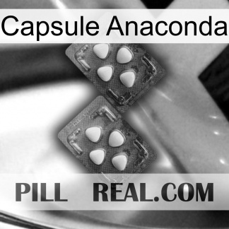 Anaconda Capsule 14